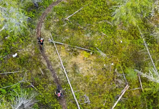 Two people walking on a winding trail through a lush, green forest.